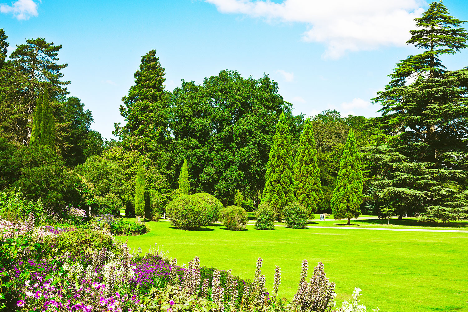 Amenagement de jardins