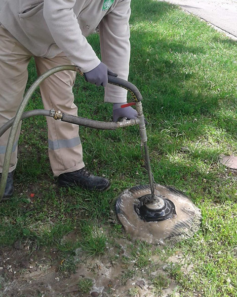 Fertilisation en profondeur